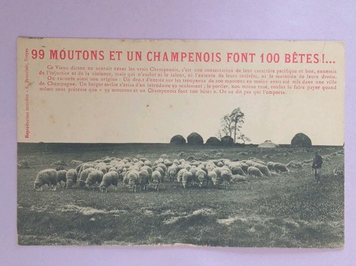 Cpa moutons et - 99, un