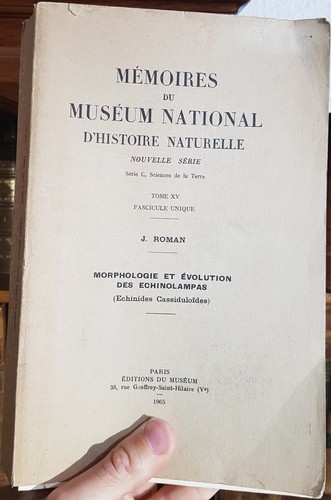 Roman morphologie et - roman:,