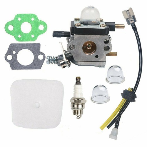 Carburateur pour motoculteurs