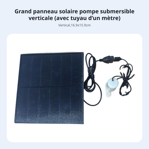 Pompe solaire immergée bassin