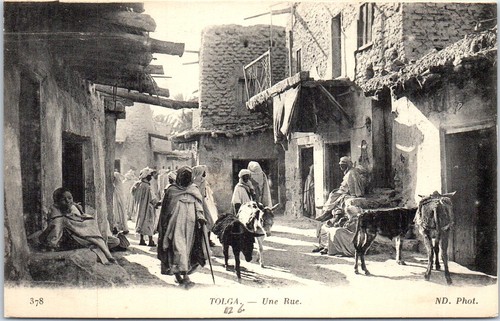 Algerie tolga une rue - tolga,