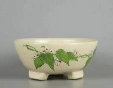 Pot à bonsaï japonais