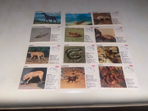 Image sticker panini - image,