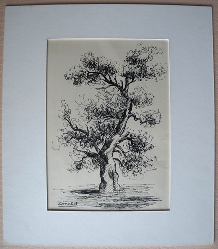 Dessin encre arbre - l',