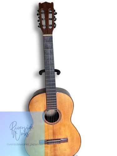 Giannini brazilian vintage - giannini,
