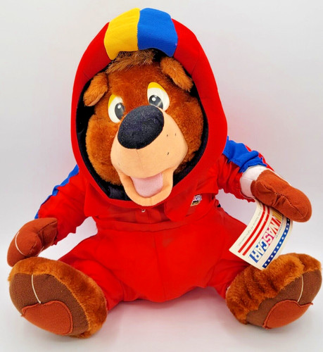 Nanco nascar bear officially - nascar,