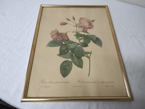 Cadre 41x31 5cm avec - cadre,