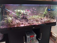 Aquarium complet 450 L Juwel