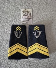 Paire de fourreaux d'épaule