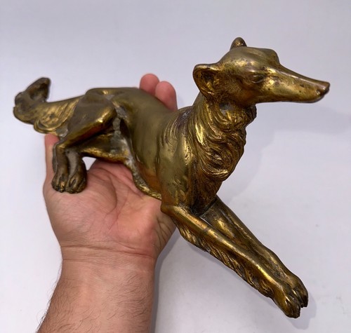Ancien lévrier greyhound - lévrier,