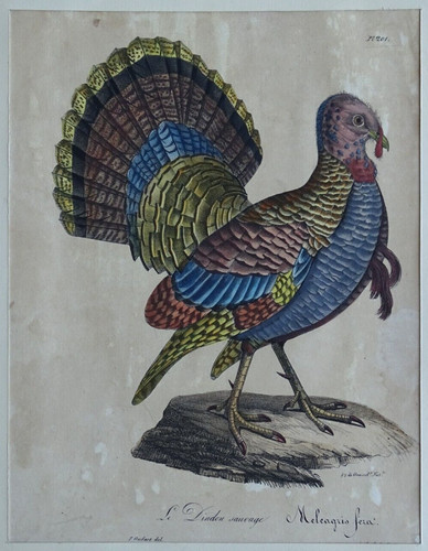 Vers 1830 lithographie - vers,