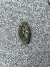 MATRICE MOULE INSIGNE GRENADE