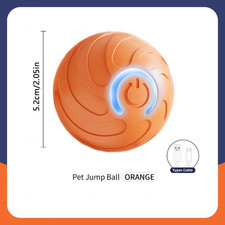 Jouet Chien Interactif Balle