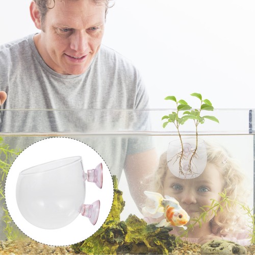 Aquarium accessoires planteur - aquarium,