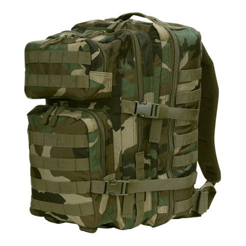 101 inc sac - 101, montagne