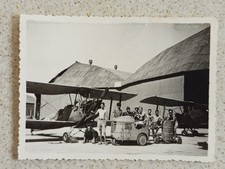 photo ALGERIE Aéroport ORAN LA SENIA 1949 avion - DE HAVILLAND 82 TIGER MOTH