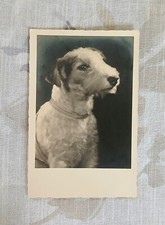 Carte Postale Ancienne Photo