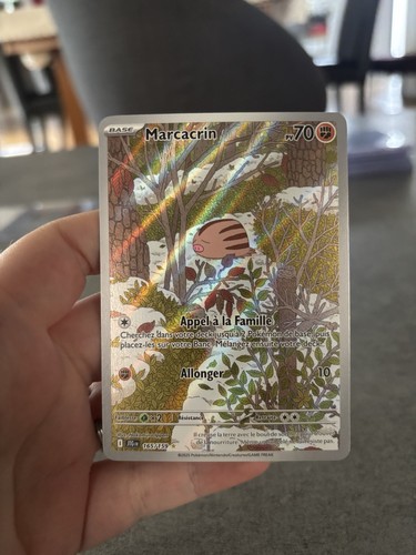 Pokémon carte marcacrin full - pokémon,