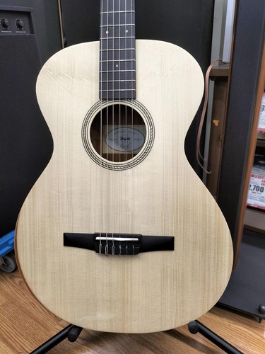 Taylor academy 12e - taylor, 12e-nylon