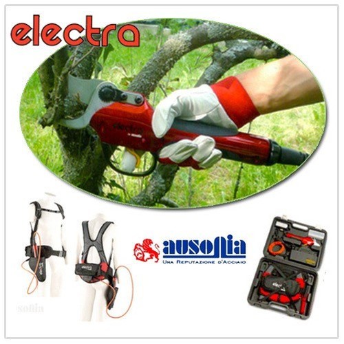 Sécateur électrique - Électrique, À