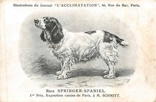 CPA - Chien, Journal L'Acclimatation, Race SPRINGER-SPANIEL