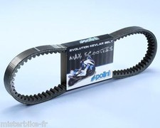 Courroie Renforcée Polini