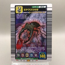 Lucanus Stag-Beetl Insect