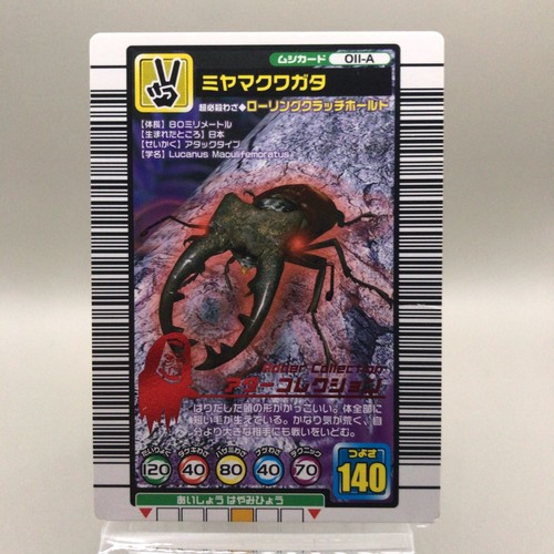 Lucanus stag beetl insect - stag-beetl,