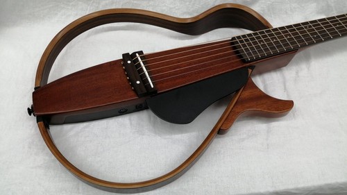 Guitare acoustique électrique