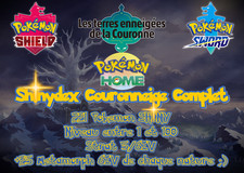 Pokémon Epée Bouclier : 8G SHINYDEX COURONNEIGE 221 Pokemon SHINY