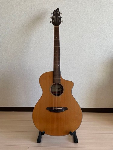 Guitare électrique acoustique