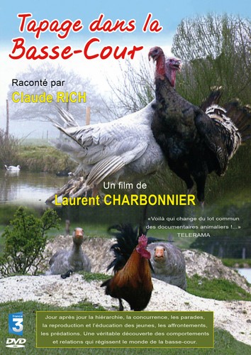 Dvd tapage dans basse - tapage, la