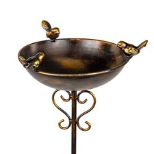 Bain oiseaux 107 23 - 107,