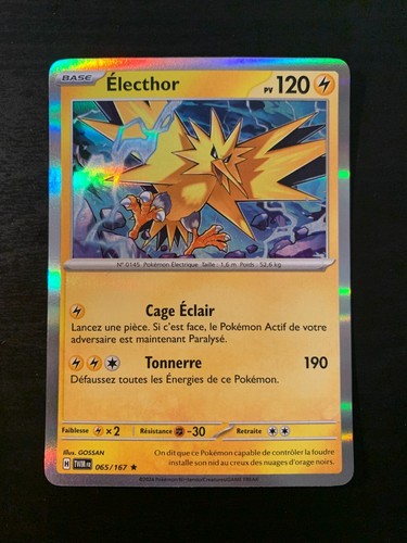 Carte pokémon holo - pokémon, electhor
