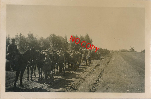 Photo antique wehrmacht - 2.wk,