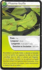 Carte Bioviva! - Phasme