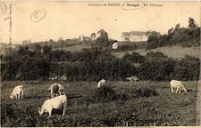 CPA Env. de DECIZE SOUGY. Un