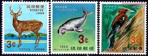 Ryukyu 1966 pivert - ryukyu,