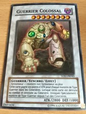 Carte Yu-Gi-Oh! 5DS1-FR043 Guerrier Colossal (Super Rare) 