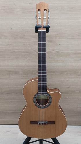 Guitare acoustique électrique