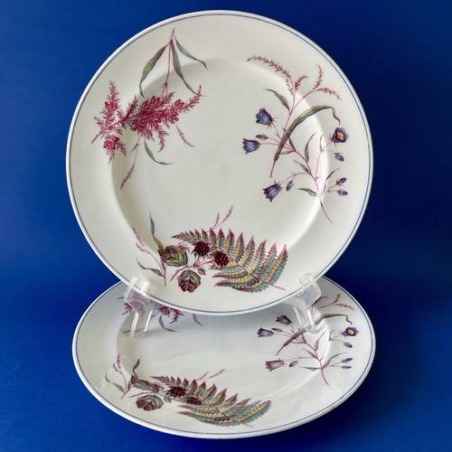 Assiettes minton 19ème - 2,