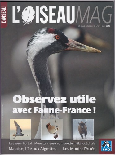 Oiseau mag 133 - l'oiseau, n°
