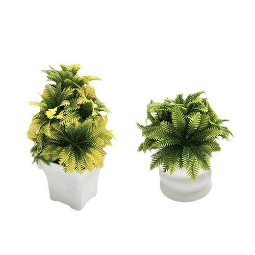 Feuilles noix coco en - de,
