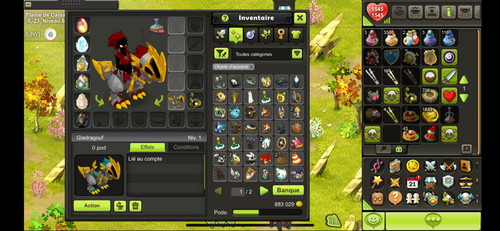 Compte dofus touch - compte,
