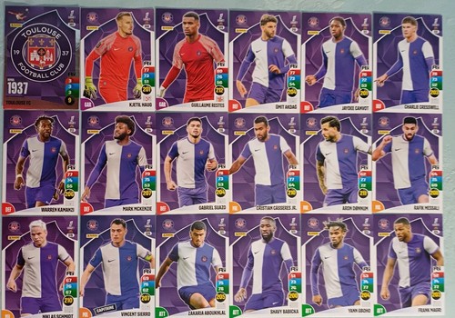 Panini adrenalyn ligue1 - panini,