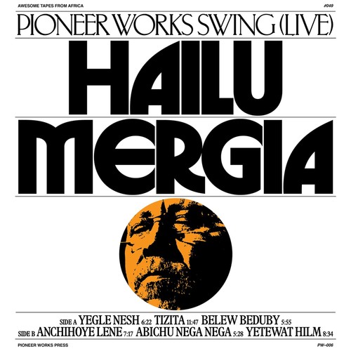 Hailu mergia pioneer - hailu,
