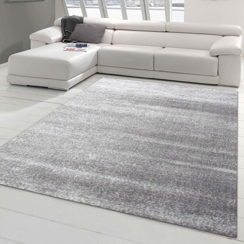 Tapis moderne pour salon - moderne,
