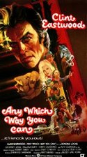 Any Which Way You Can (VHS