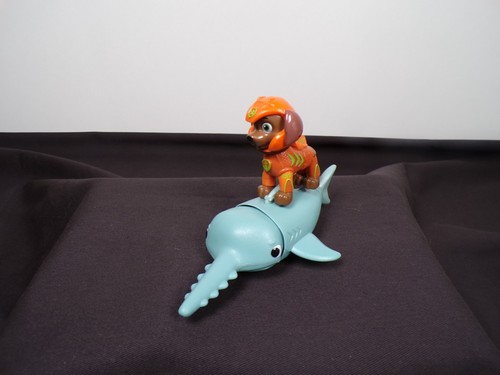Aqua pups requin - -,