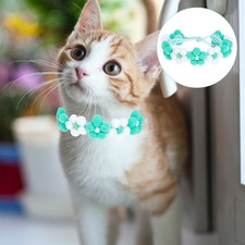 Collier Pour Chien Créatif